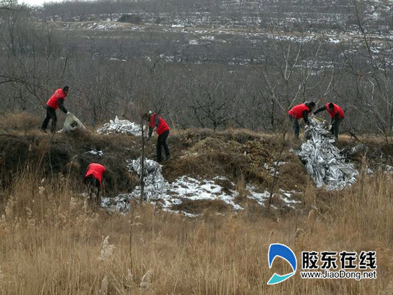 马管镇人口(3)
