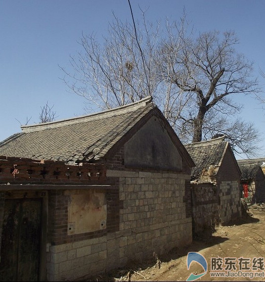 战场泊村老树底下的这些老屋当年住着许司令的警卫排
