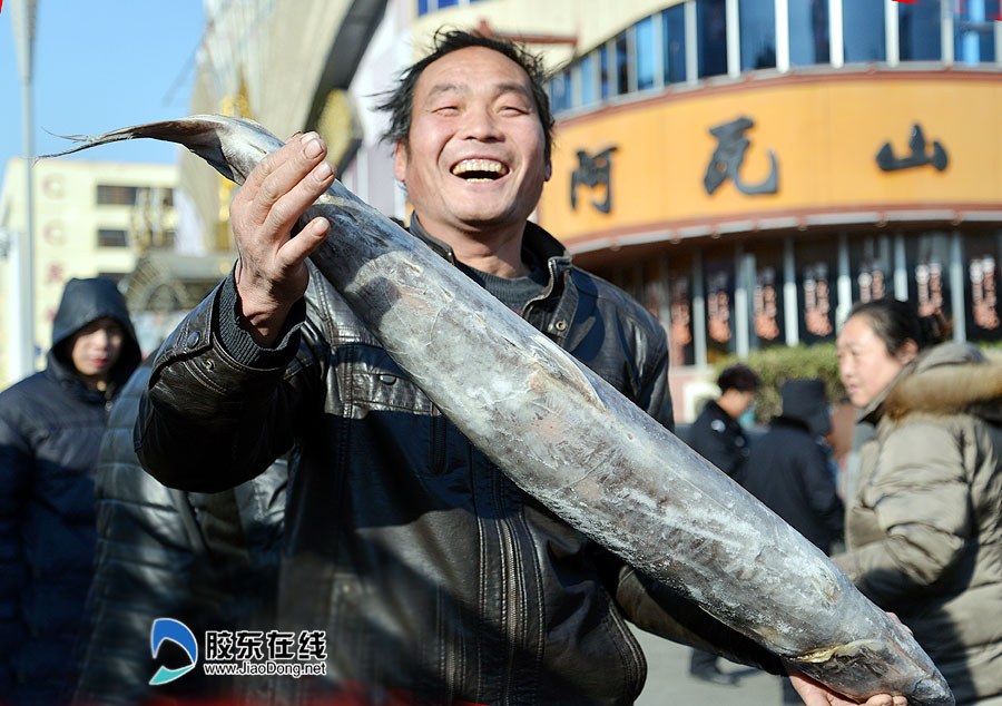 最大的海鲜市场_文山最大的三七市场_世界上最大的蜘蛛蜈蚣