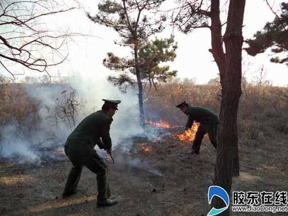 清明节:文明祭扫 严禁烟火(组图) | 平安烟台网