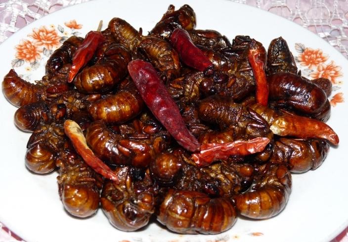 微距实拍知了猴 解密本地最名贵下酒菜(高清图