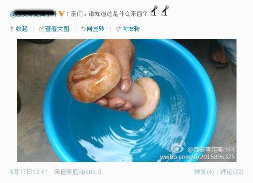 西安女记者误将男用自慰器认作太岁(图) 世相
