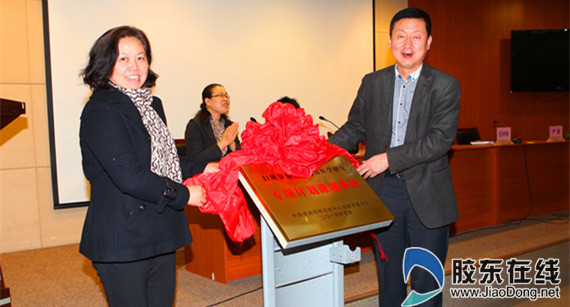 孕妇叶酸排行榜_唯一推荐孕妇吃的是叶酸