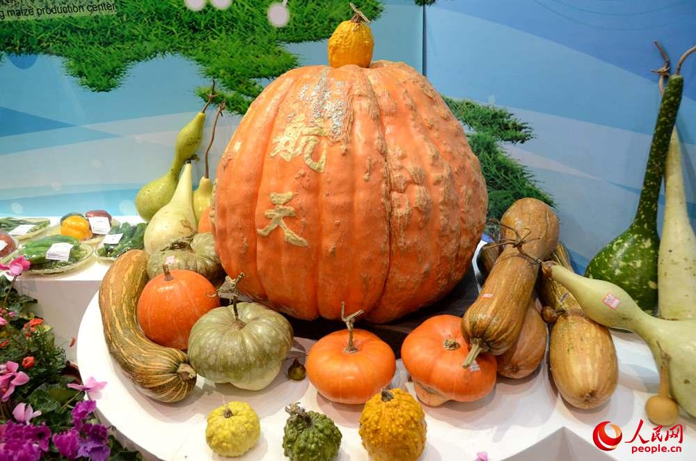 高清:巨型航天南瓜现身珠海航展 科技报道 烟