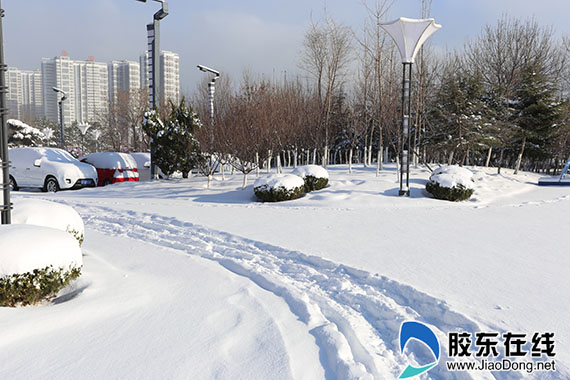 烟台部分地区现暴雪天气 芝罘莱山雪深20厘米