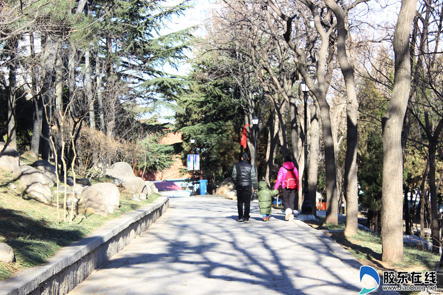 假日掠影:陪伴,是最长情的告白 社会新闻 烟台新