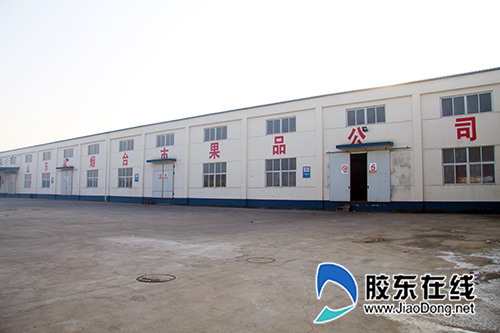 烟台果品总公司网销突起 经营周转库降价格后