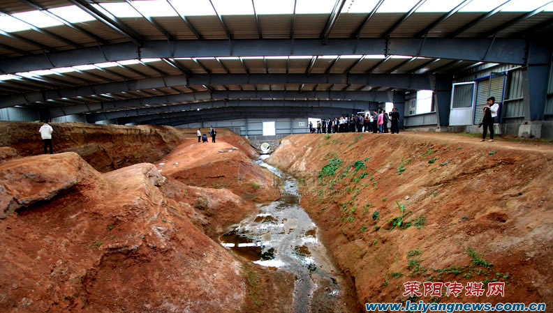font color= #EE1111 莱阳恐龙地质博物馆有望