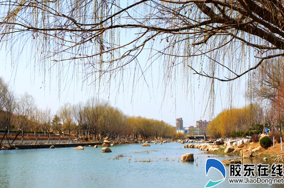 逛荡河不美丽?宋家庄桥附近有污水直排致恶臭