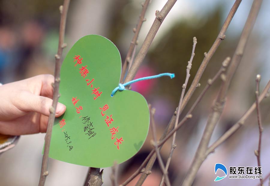 春意盎然植树热 60组小记者开展植树活动