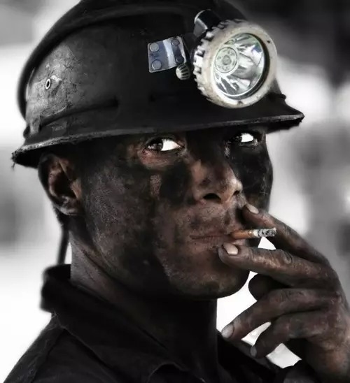 劳动节,向农民致敬! 时事评论 烟台新闻网 胶东