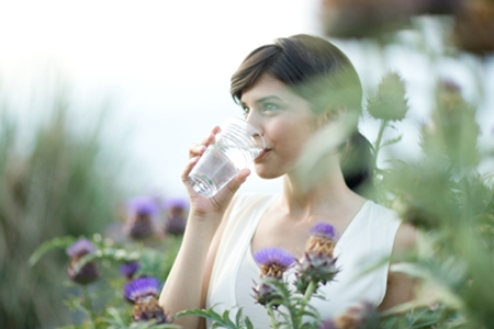 女性初夏如何排毒 要多喝菊花茶多吃番薯排毒