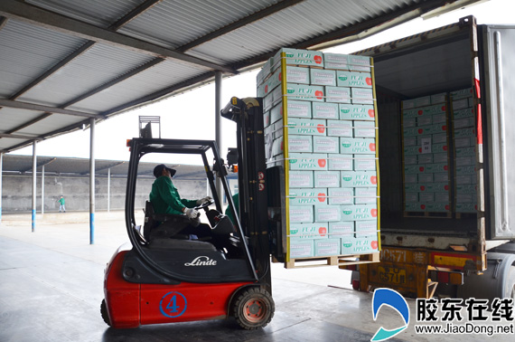 历经17年谈判 21吨烟台苹果首发美国 财经新闻