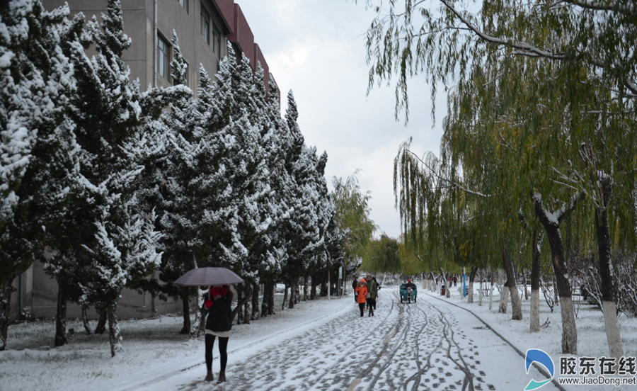 烟台大学学生上课途中 孙宗顺/摄