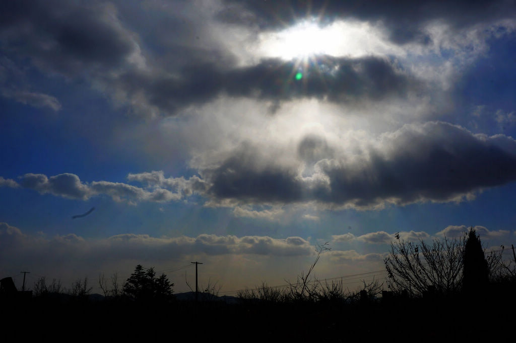 DSC08216.jpg