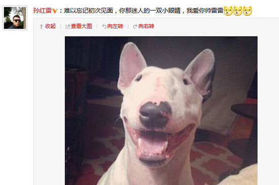 孙红雷晒与其撞脸小狗照片:说我不帅请你出去