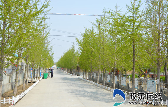 莱州旅游局组织旅行社及新闻媒体开展采风活动