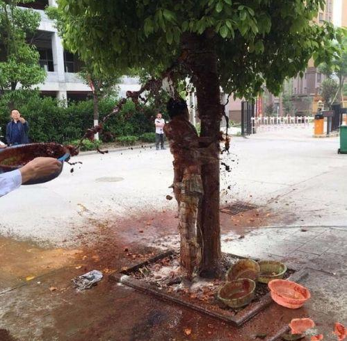 陕西一 新郎 遭 扒光 绑树上 从头到脚 被泼狗血 (图