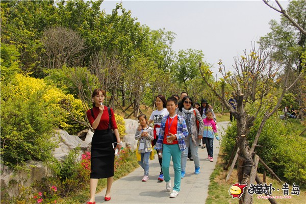 5月14日上午,来自全国各地的亲子旅游达人齐聚青岛市城阳区,共同开启首届全国知名网络媒体和旅游达人亲子采风活动。据了解,参加本次活动的家庭共有10组,行程分为3天,主要采风地点为青岛市区、崂山区以及城阳区。采风团将陆续体验青岛奥林匹克雕塑公园、青岛世界园艺博览会展馆、青岛海底世界、青岛之窗电视塔、青岛圣罗尼克庄园和崂山茶文化博物馆等,在参观体验的过程中,各位旅游达人共同分享互联网+给旅游行业带来的变革和便利,并表示目前国内的互联网+亲子旅游模式非常受家长们的欢迎和追捧,未来的市场潜力也很大。