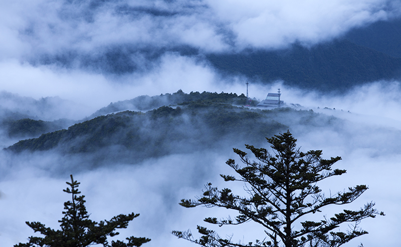 高温来袭 何不带上帐篷去西岭雪山避暑露营(图)