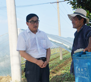 徐心华:桃源镇光明村脱贫致富带头人 | 逐梦榜样