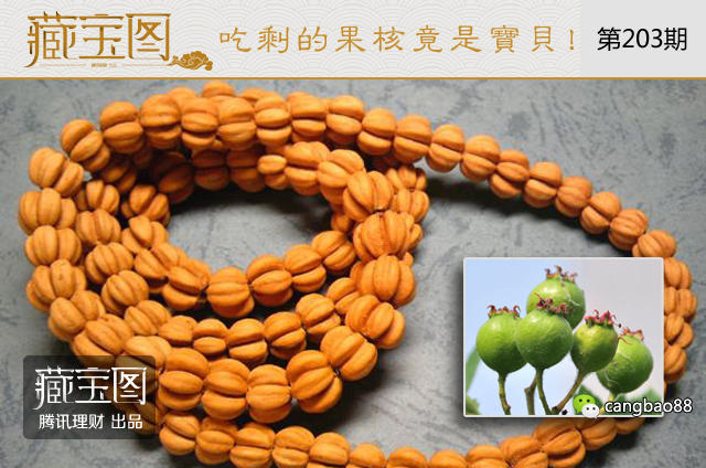 以后吃剩的果核别扔了 它们都能变成文玩宝贝