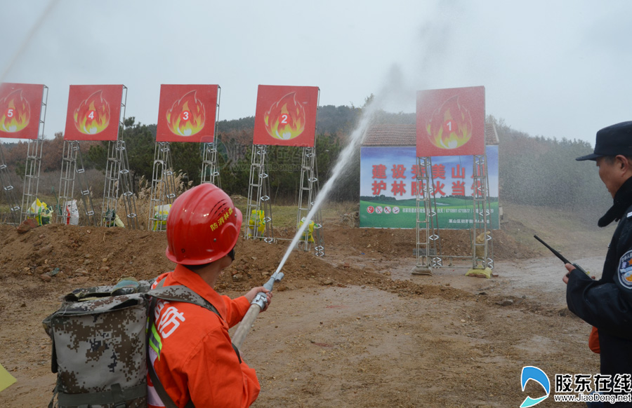 省森林消防专业队比技能 水泵接力水枪打靶(图