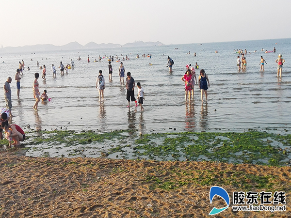 烧烤模式开启！第一海水浴场市民游客嗨爆了