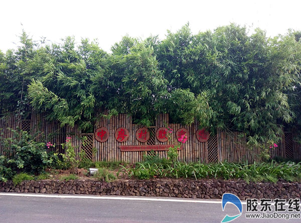 抵住重金诱惑 三亚中寥村迎来美丽乡村建设机遇