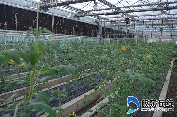 全国网媒记者感受黑龙江省兴十四村魅力(图)