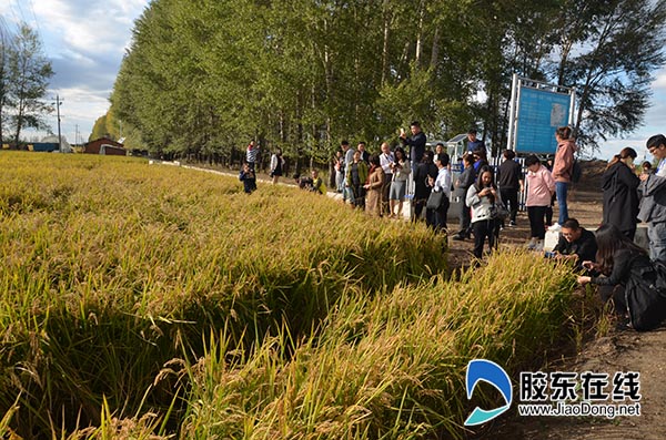 全国网媒记者感受黑龙江省兴十四村魅力(图)