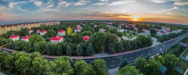 探访黑龙江兴十四村：五大产业项目助力乡村致富