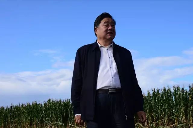 探访黑龙江兴十四村：五大产业项目助力乡村致富