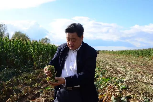 探访黑龙江兴十四村：五大产业项目助力乡村致富