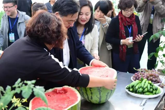 探访黑龙江兴十四村：五大产业项目助力乡村致富