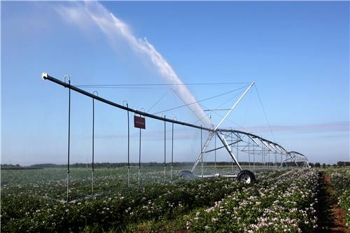 探访黑龙江兴十四村：五大产业项目助力乡村致富