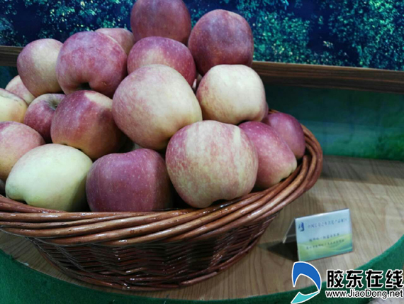 莱州受邀参加2017中国长寿之乡养生名优产品