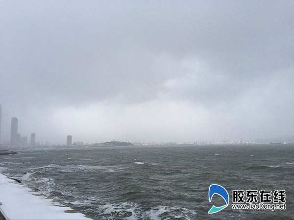 1月11日烟台海滨 刘玉曦摄22