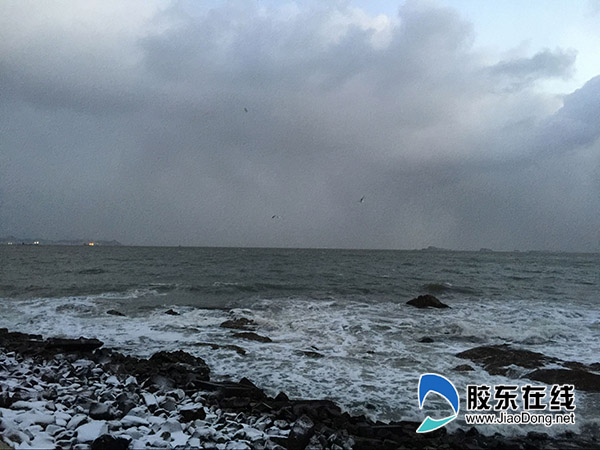 1月11日烟台海滨 刘玉曦摄21