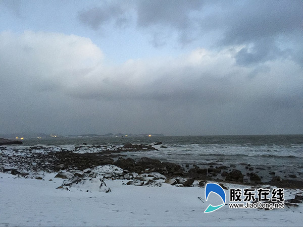1月11日烟台海滨 刘玉曦摄1212