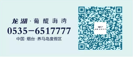 龙湖二维码2