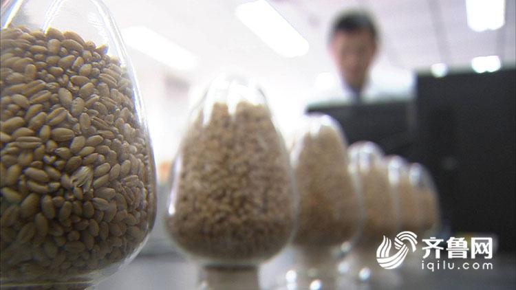 山东：插上科技翅膀 农业走在全国前列