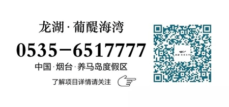 图片49a
