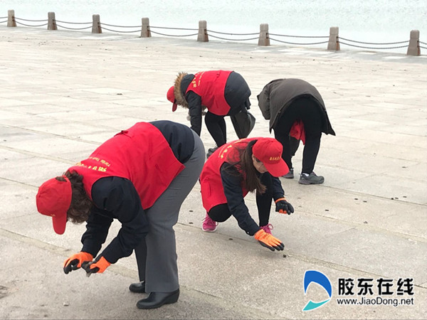 志愿服务活动 (4)