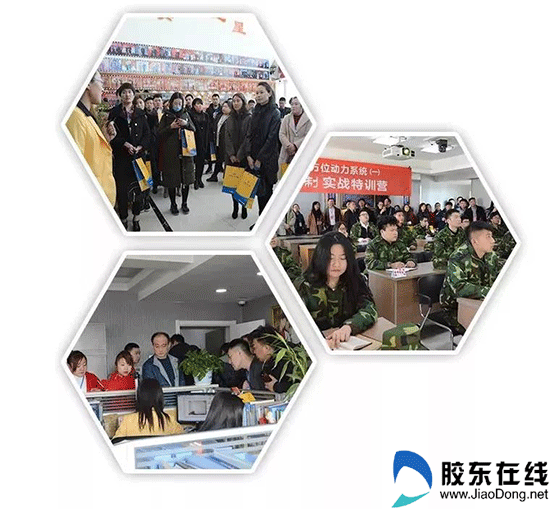 图片15a
