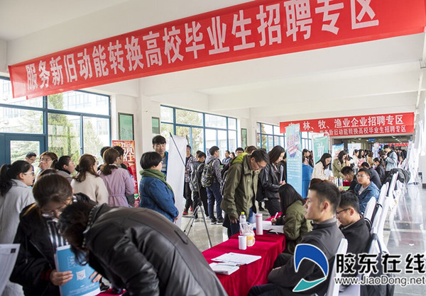 招聘会现场2