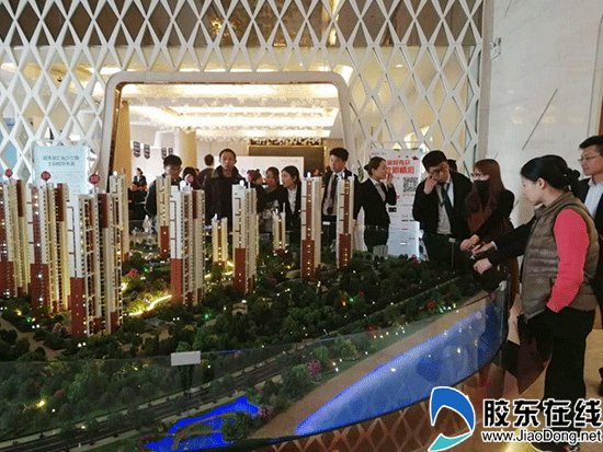 图片2a