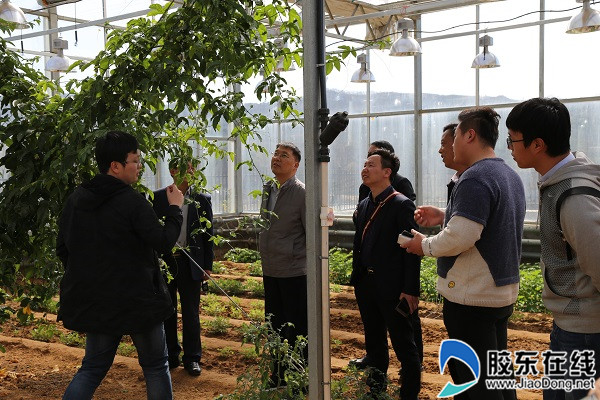 鲁东大学校地合作助推乡村振兴