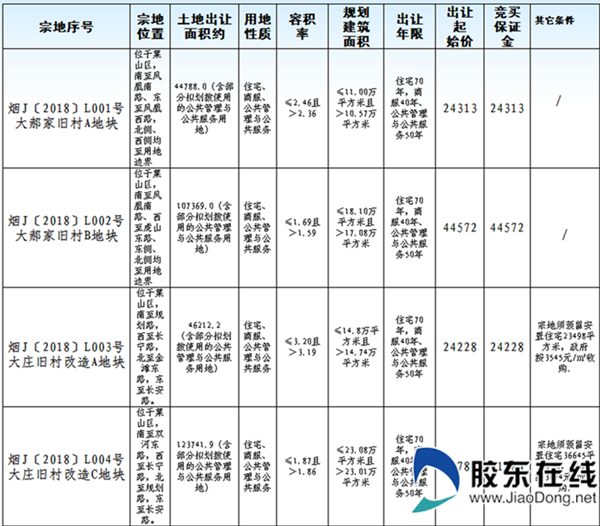 土地出让公告_副本_副本