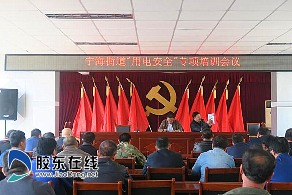 海宁街道开展基层网格员专项培训_副本